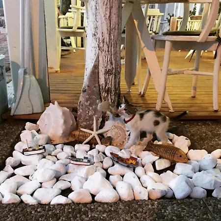 Ayshe * フォチャ